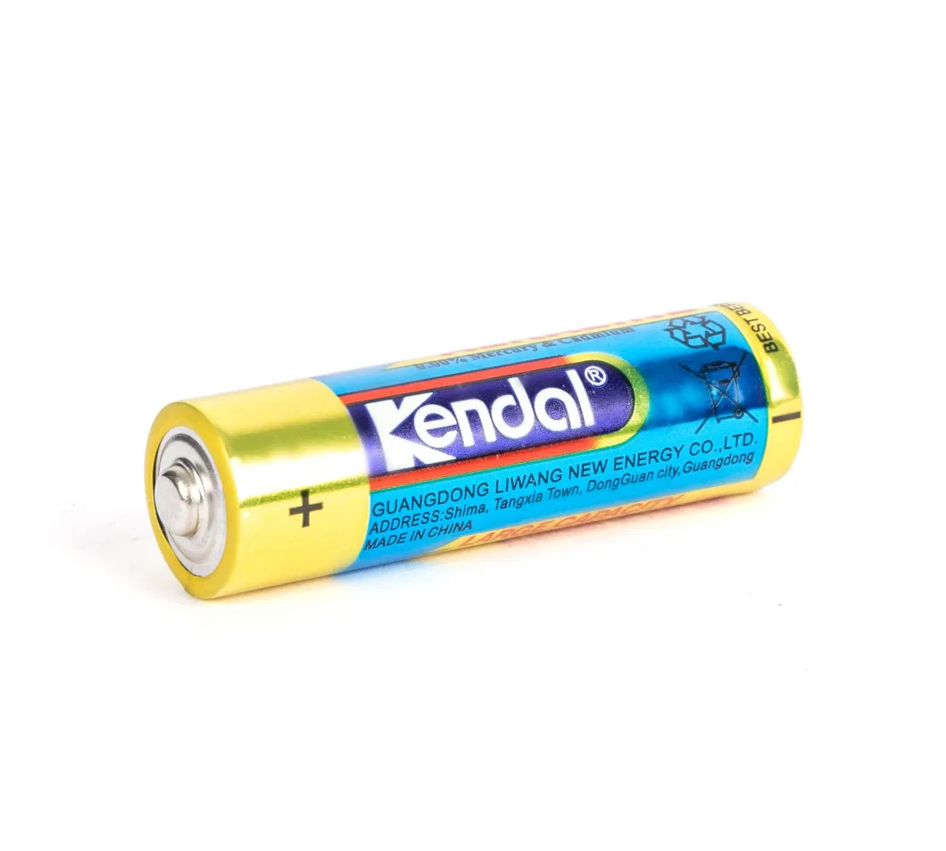 AA Alkaline Primary 1.5V Dry Cell Battery