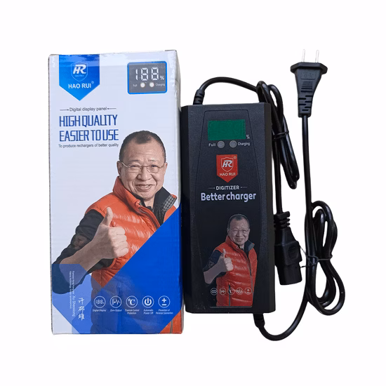 Tragbares 48V20ah-Kabel