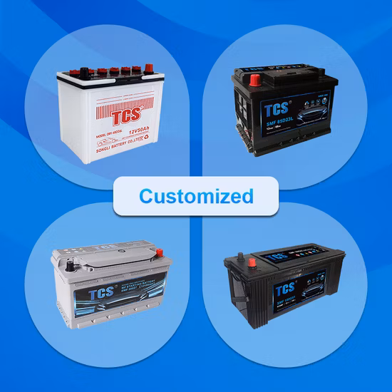 12V 110Ah Start Blei-Säure-Fahrzeugbatterie Niedertemperatur-Trockenladebatterien